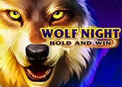 Wolf Night: Hold and Win